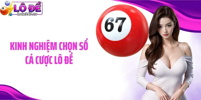 Kinh nghiệm chọn số cá cược lô đề