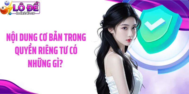 Nội dung cơ bản trong quyền riêng tư có những gì? 