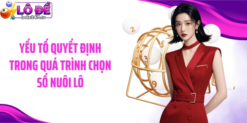 Yếu tố quyết định trong quá trình chọn số nuôi lô